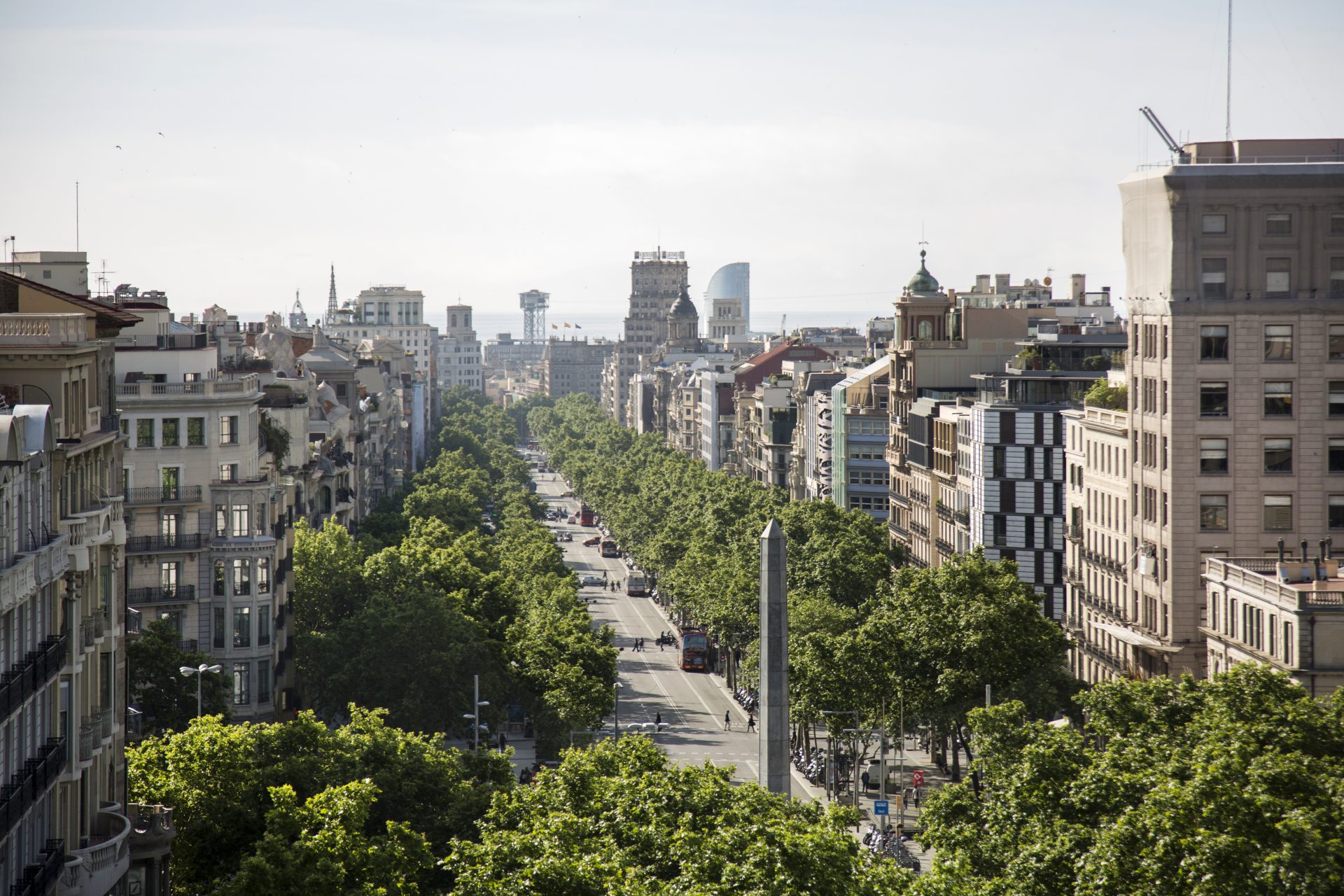 paisatge urbà Passeig de Gràcia